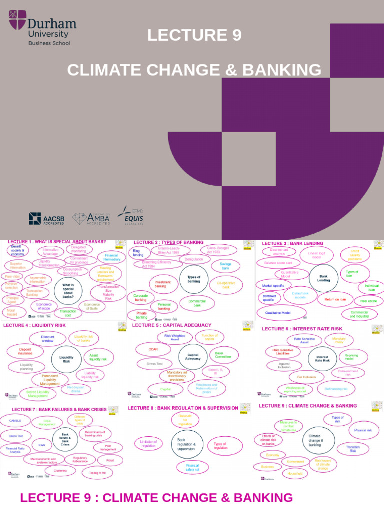 Climate Change Risks in Banking Sector | PDF | Risk | Climate Change