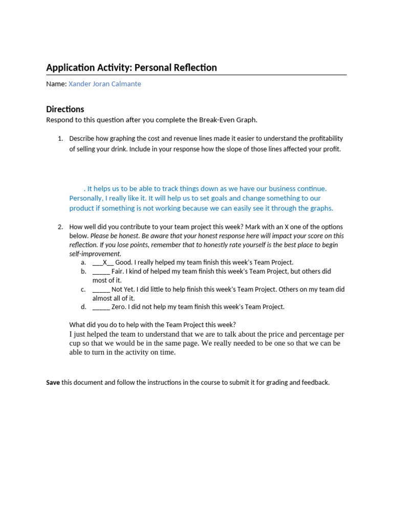 Personal Reflection on Team Project and Profitability | PDF