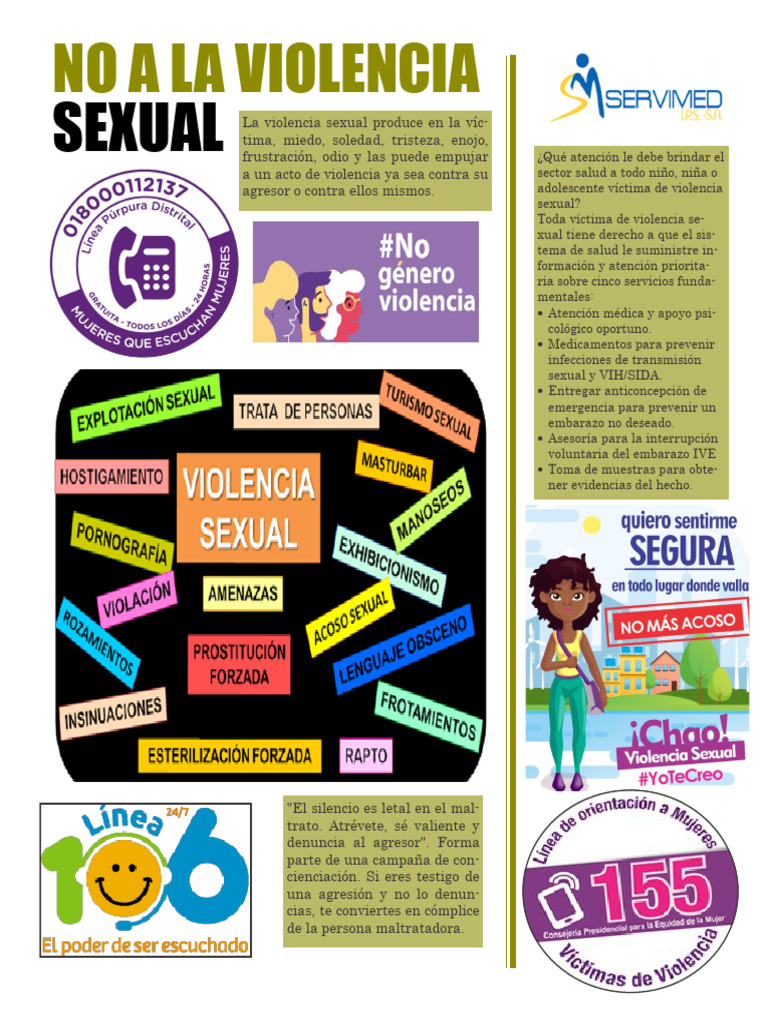 Violencia Sexual y de Genero 2 | PDF