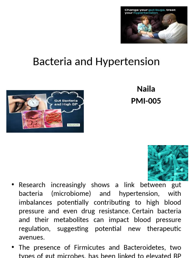Gut Microbiota's Role in Hypertension | PDF | Hypertension ...