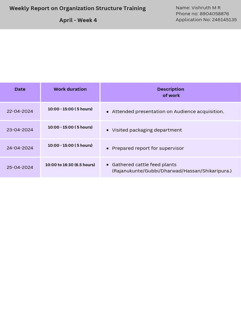 Ost Mba Weekly Report - Week 4 | PDF