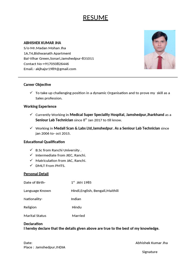 Abhishek Kumar Jha's Resume Summary | PDF