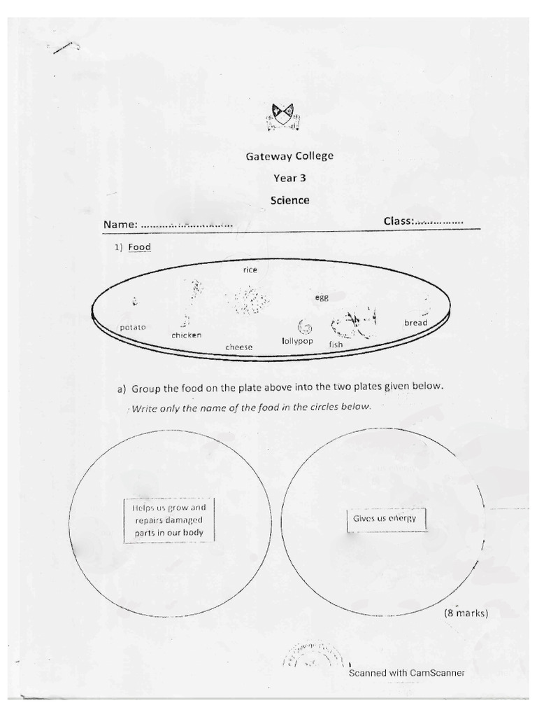 Science Practice | PDF