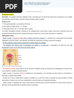 Puerpério: Fisiologia e Complicações | PDF | Parto | Sangramento