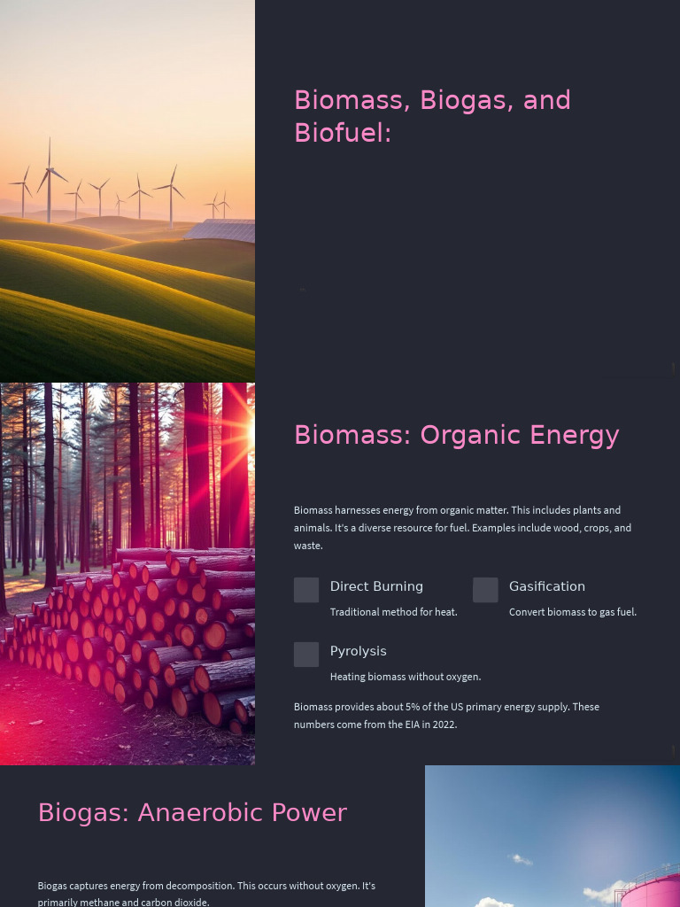 Biomass, Biogas, and Biofuel Explained | PDF | Biofuel | Biogas