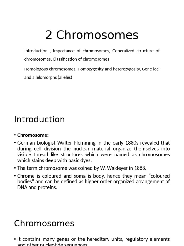 Understanding Chromosomes: Structure & Function | PDF | Chromosome | Ploidy