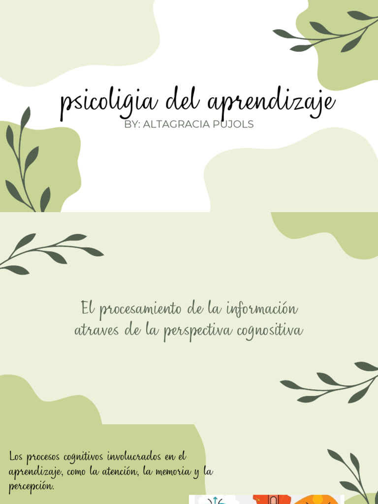 Presentación Psicología Del Aprendizaje | PDF | Cerebro | Memoria