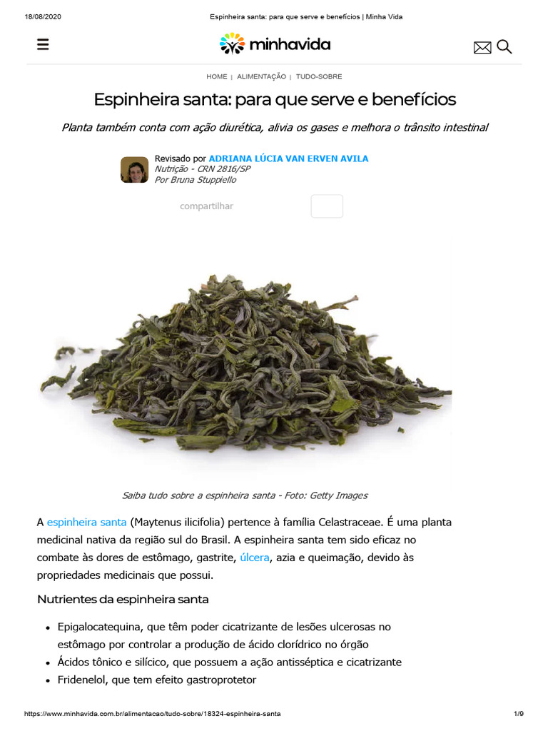 Benefícios da Espinheira Santa | PDF | Amamentação | Chá
