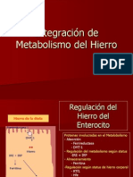 Integracion de Metabolismo Del Hierro 2007