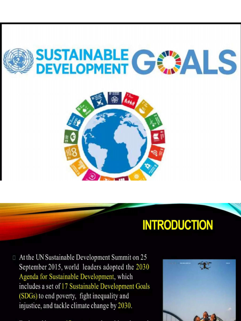 Sustainability Goal | PDF