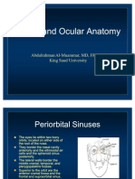 Orbital Anatomy