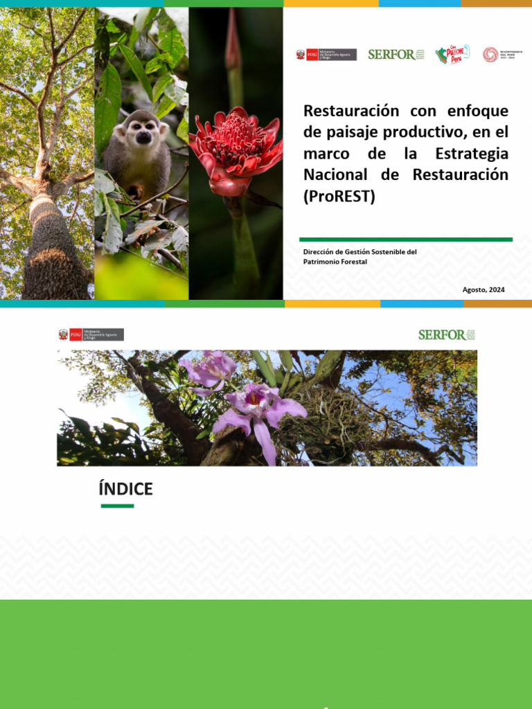 Estrategia ProREST para Restauración Forestal | PDF | Deforestación | Fauna