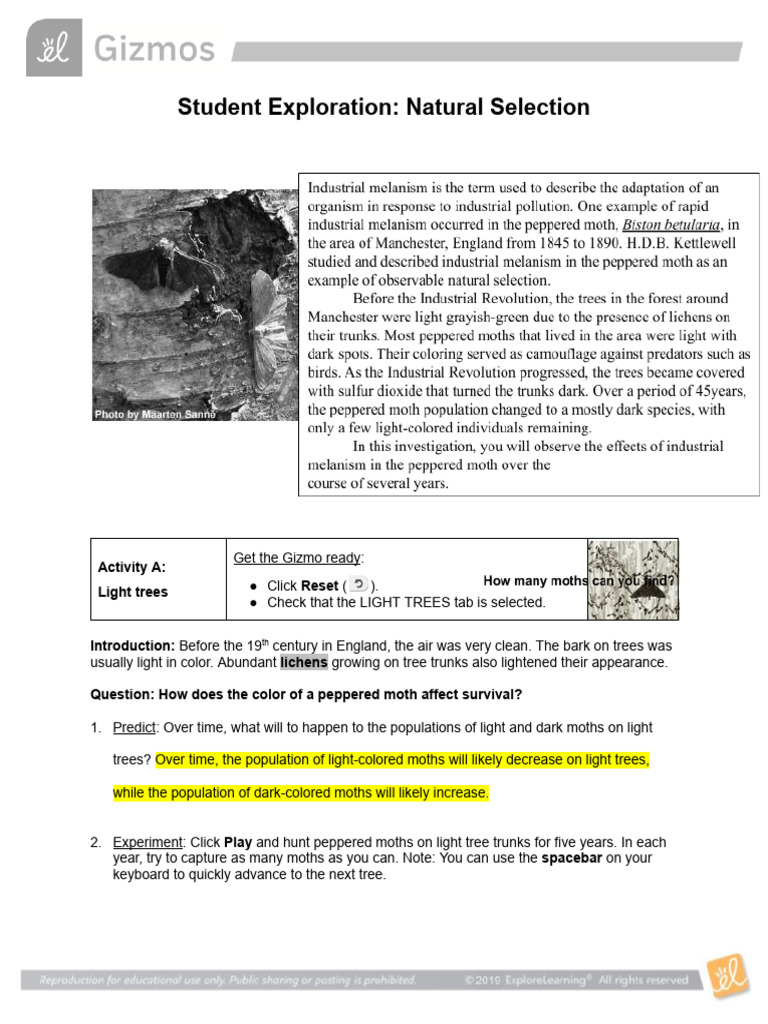 Natural Selection in Peppered Moths Experiment | PDF | Natural ...