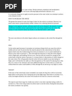 Bottle Rocket Design and Deployment Guide | PDF | Rocket | Force