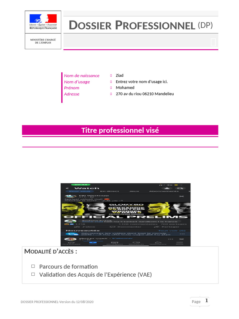 Dossier Professionnel : Guide Pratique | PDF