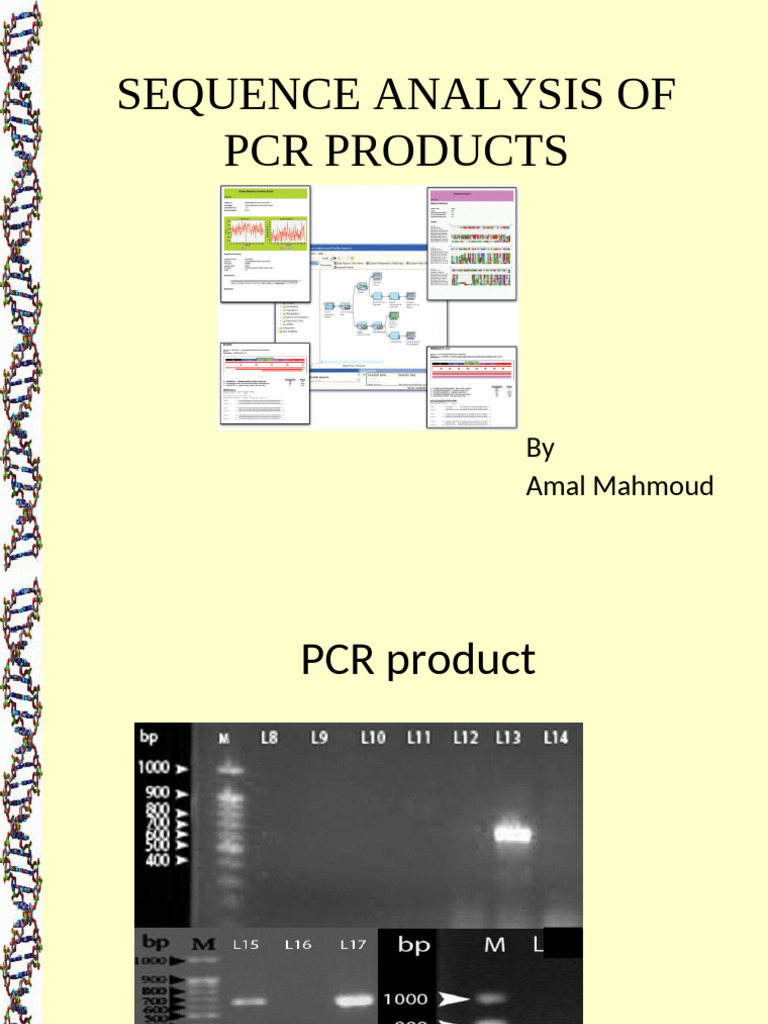PCR Product Sequence Analysis | PDF | Sequence Alignment | Nucleic Acid ...
