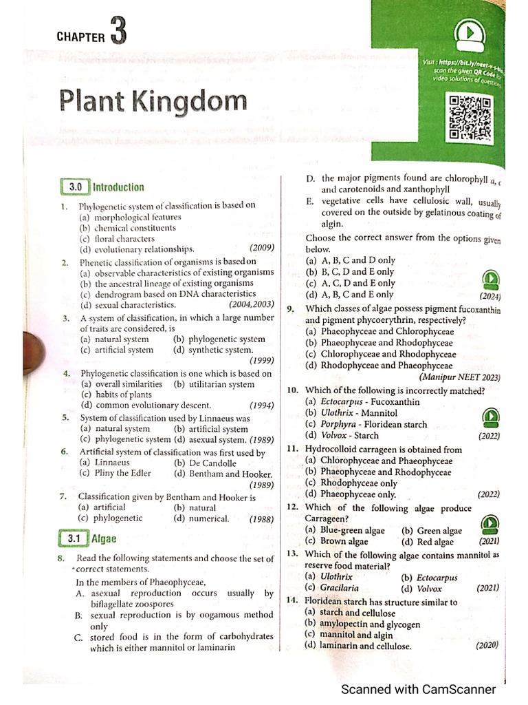 Ritika | PDF