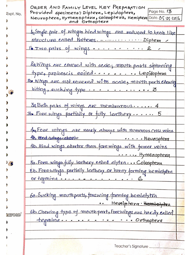 Insect Variation | PDF