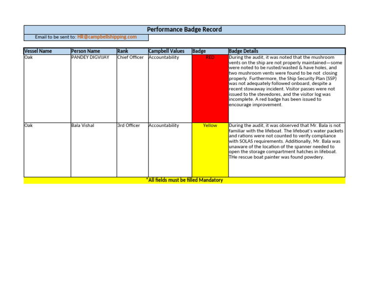 Performance Badge Audit Report | PDF | Watercraft | Ships