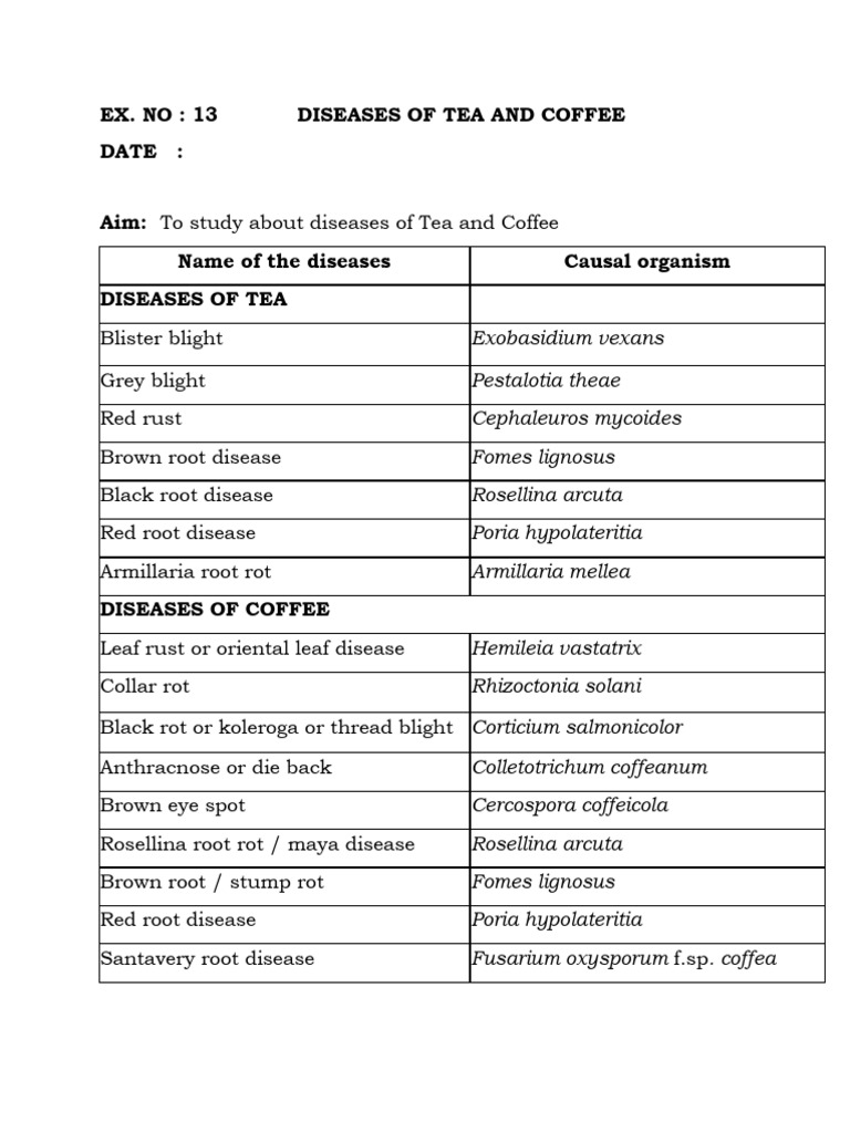 Causal Organisms of Tea and Coffee Diseases | PDF | Mycology | Plants