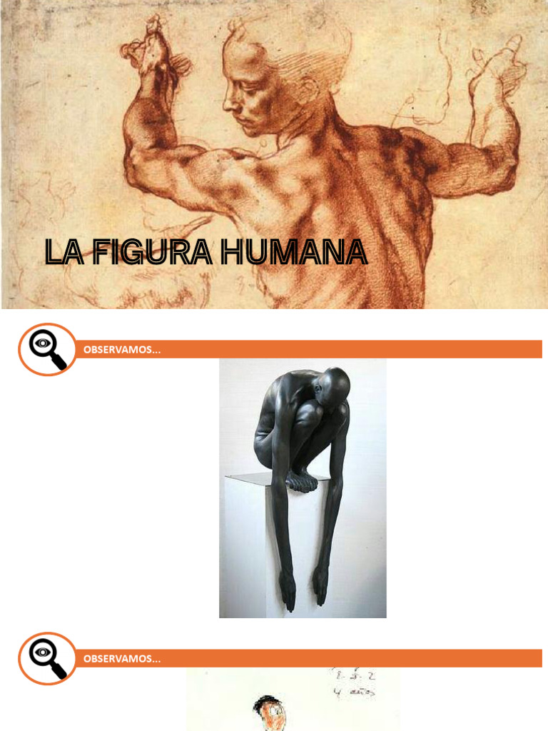 Cánones de proporción en la figura humana | PDF