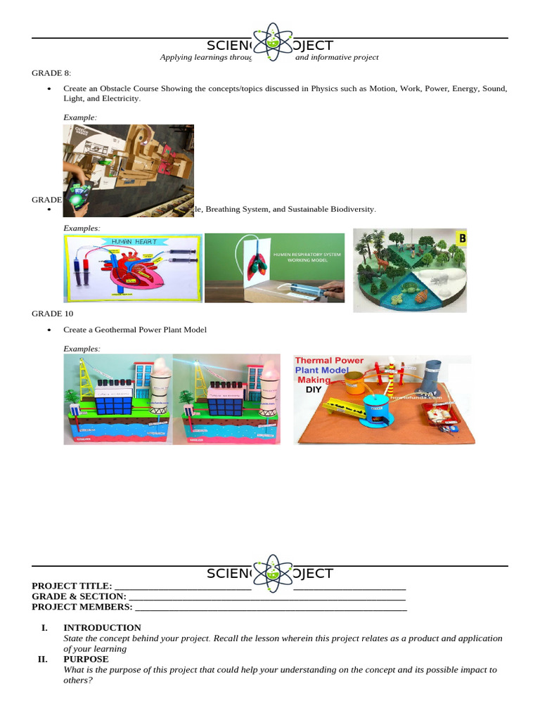 Science Project | PDF | Science | Cognitive Science