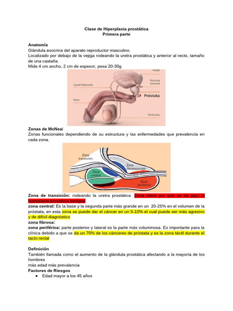 Hiperplasia Prostática: Diagnóstico y Fases | PDF | Antígeno específico ...