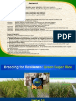 Breeding For Resilience: Green Super Rice
