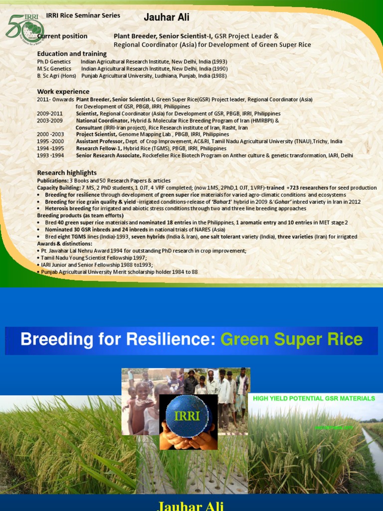 Breeding For Resilience: Green Super Rice | PDF | Plant Breeding ...