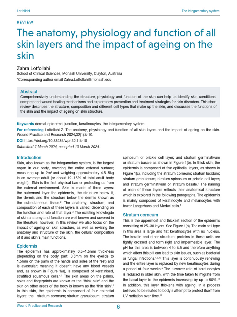 Anatomy and Ageing of Skin Layers | PDF | Epidermis | Skin