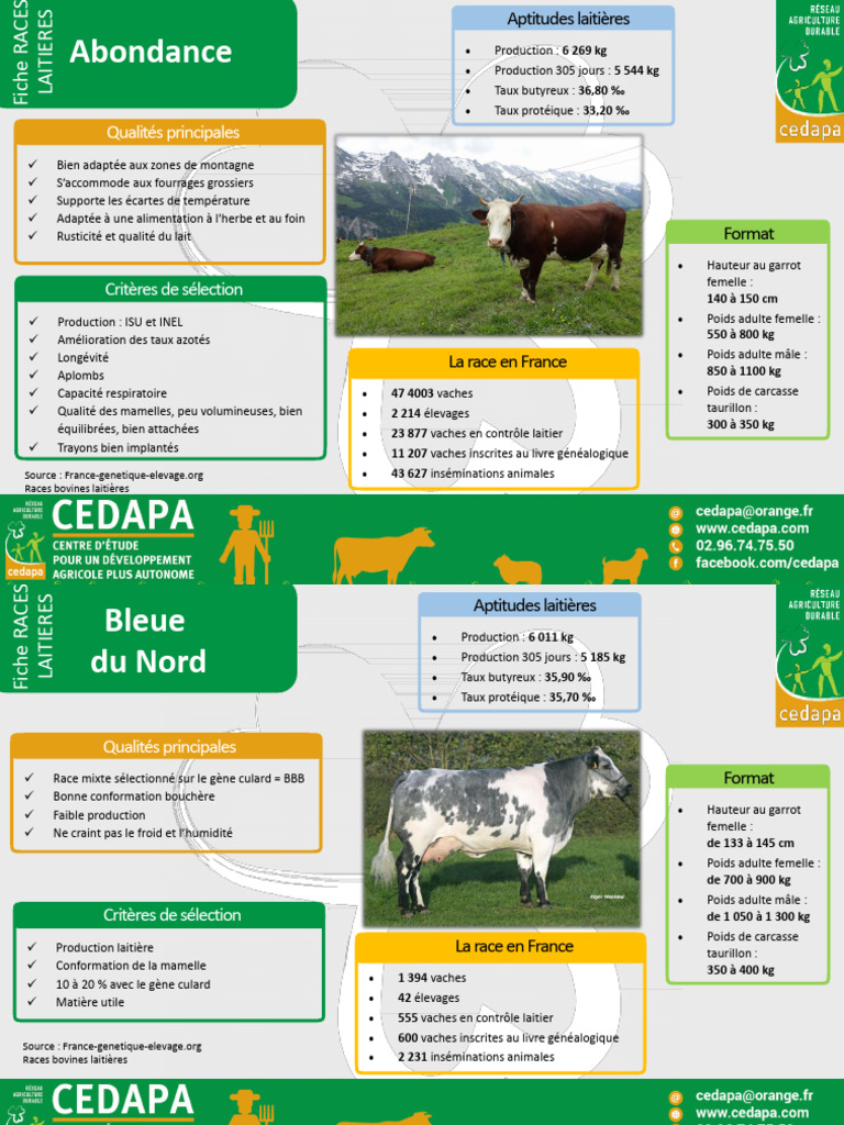 Races de vaches laitières en France | PDF | Bovins domestiques | Races ...