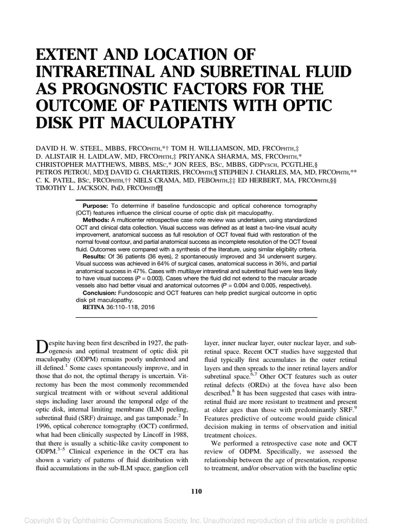 Prognostic Factors in Optic Disk Pit Maculopathy | PDF | Retina ...