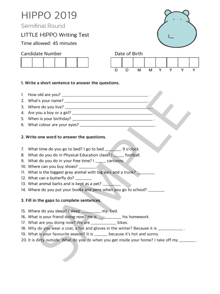 Prueba de Escritura Little Hippo 2019 | PDF