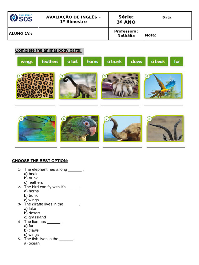 Avaliação de Inglês 3º Ano - 1º Bimestre | PDF
