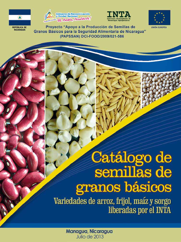 Catálogo de Semillas de Granos Básicos | PDF | Cereales | Agricultura