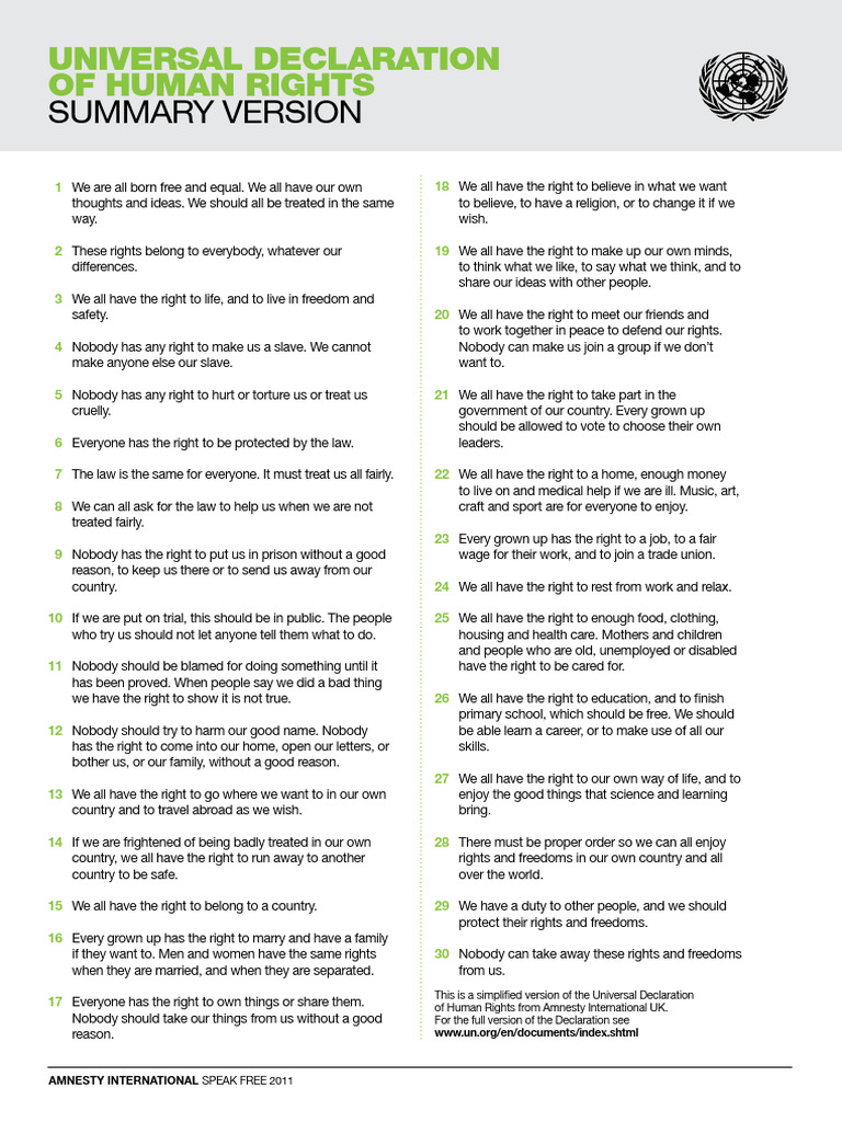Summary of Universal Human Rights | PDF
