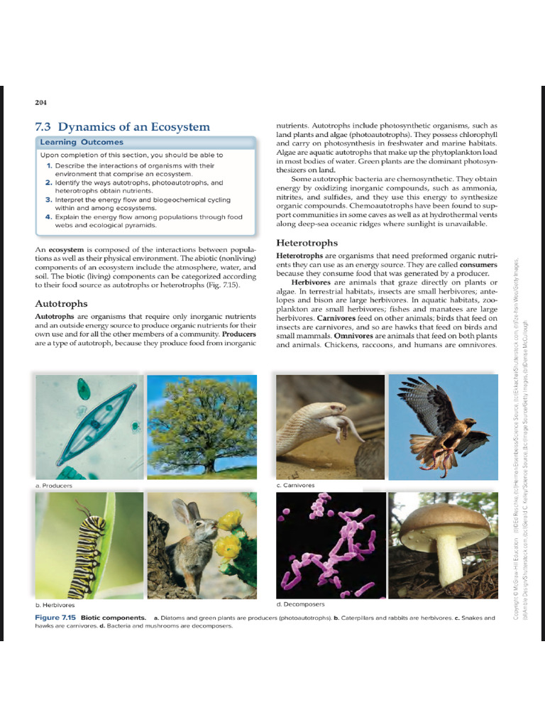 7 3 | PDF