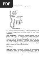 Earthworm Anatomy: Gizzard, Intestine, Pharynx | PDF | Epithelium | Biology