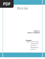 Download Pengaruh Konsentrasi Substrat Terhadap Aktivitas Enzim by Ayundha Nabilah SN84638719 doc pdf