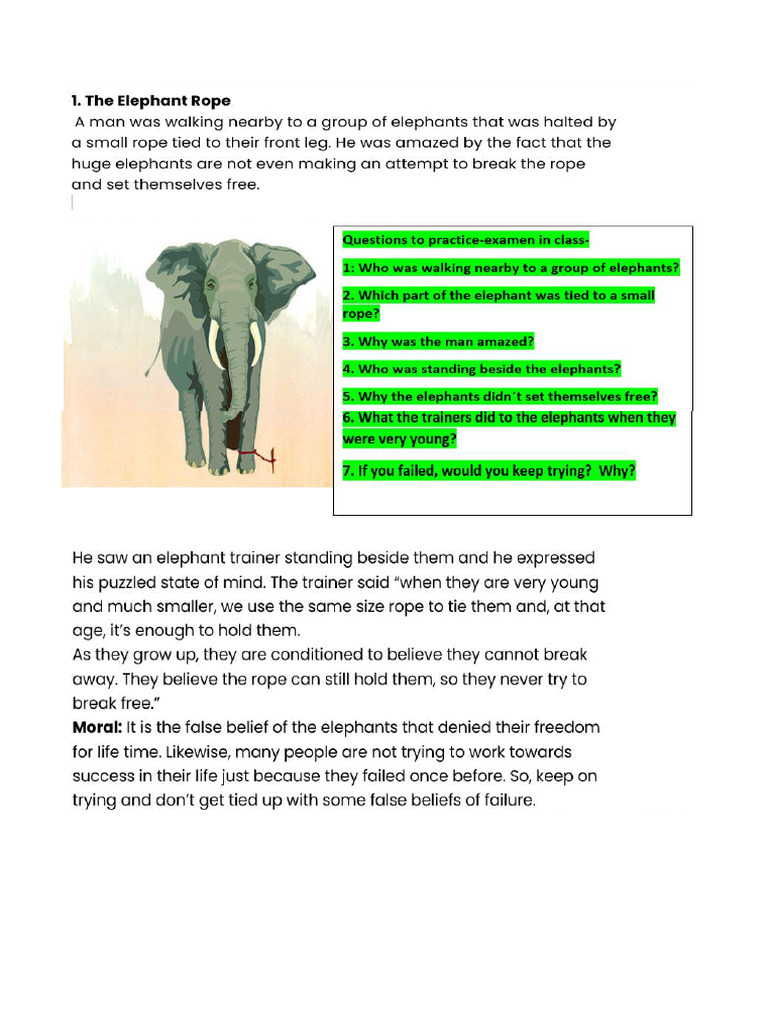 1ST Class Elephant Rope | PDF