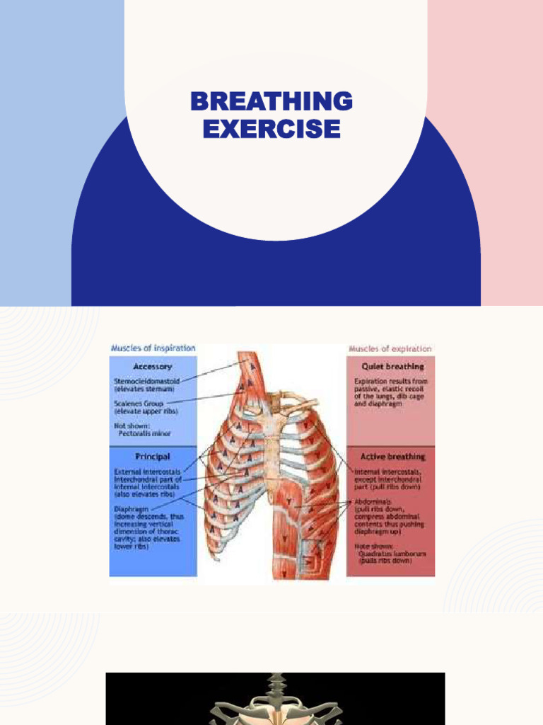 Breathing Exercises for Respiratory Health | PDF | Breathing ...