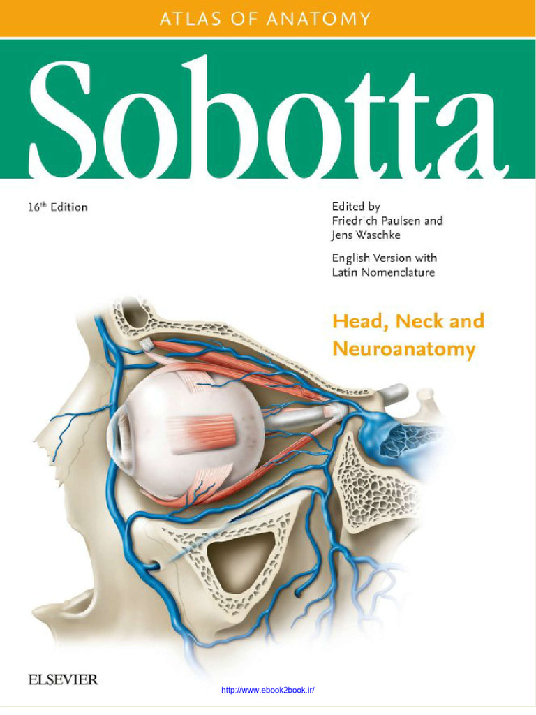 Sobotta Atlas of Anatomy Volume | PDF