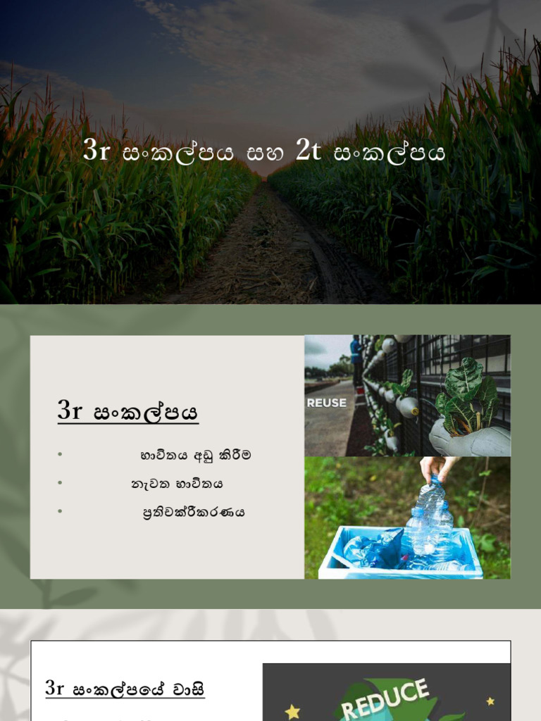 3R | PDF