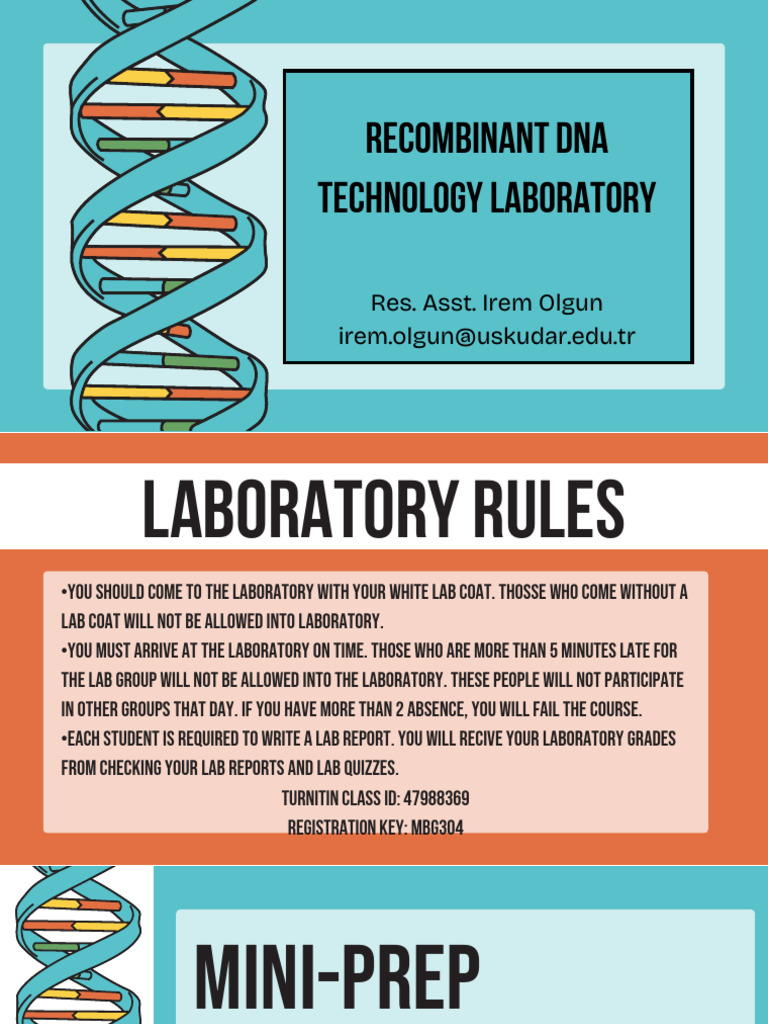 Experiment 1 | PDF