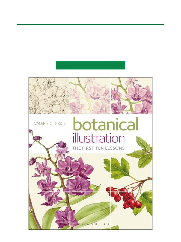 Botanical Illustration Lessons Guide | PDF