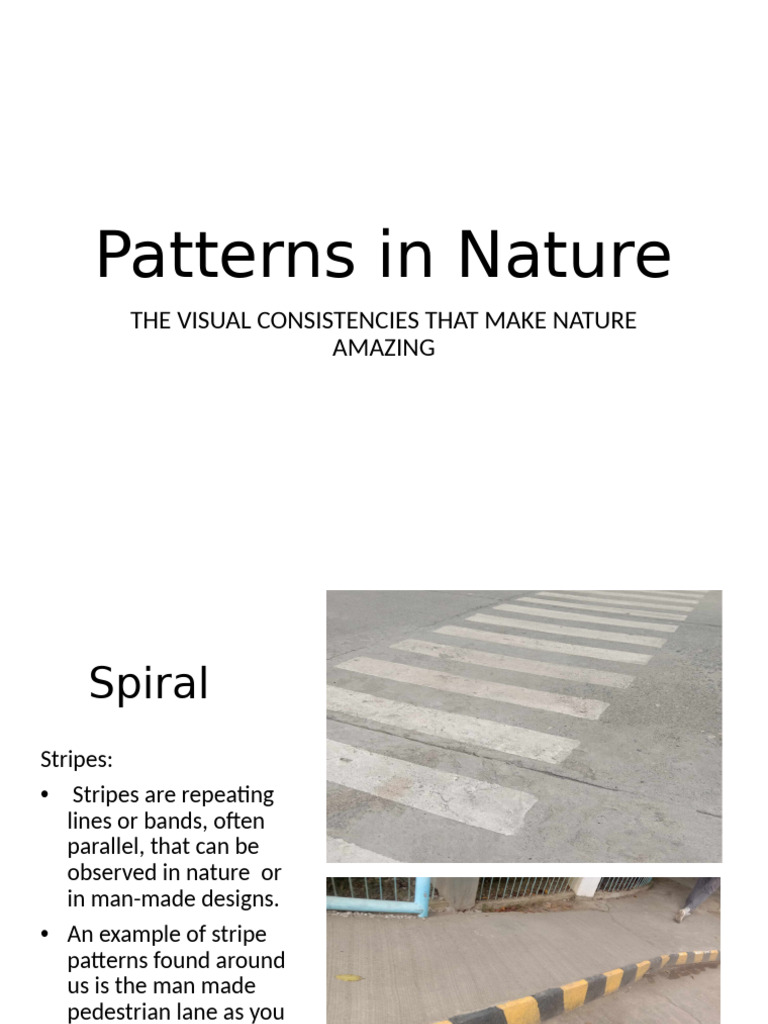Video Ge Math | PDF | Pattern