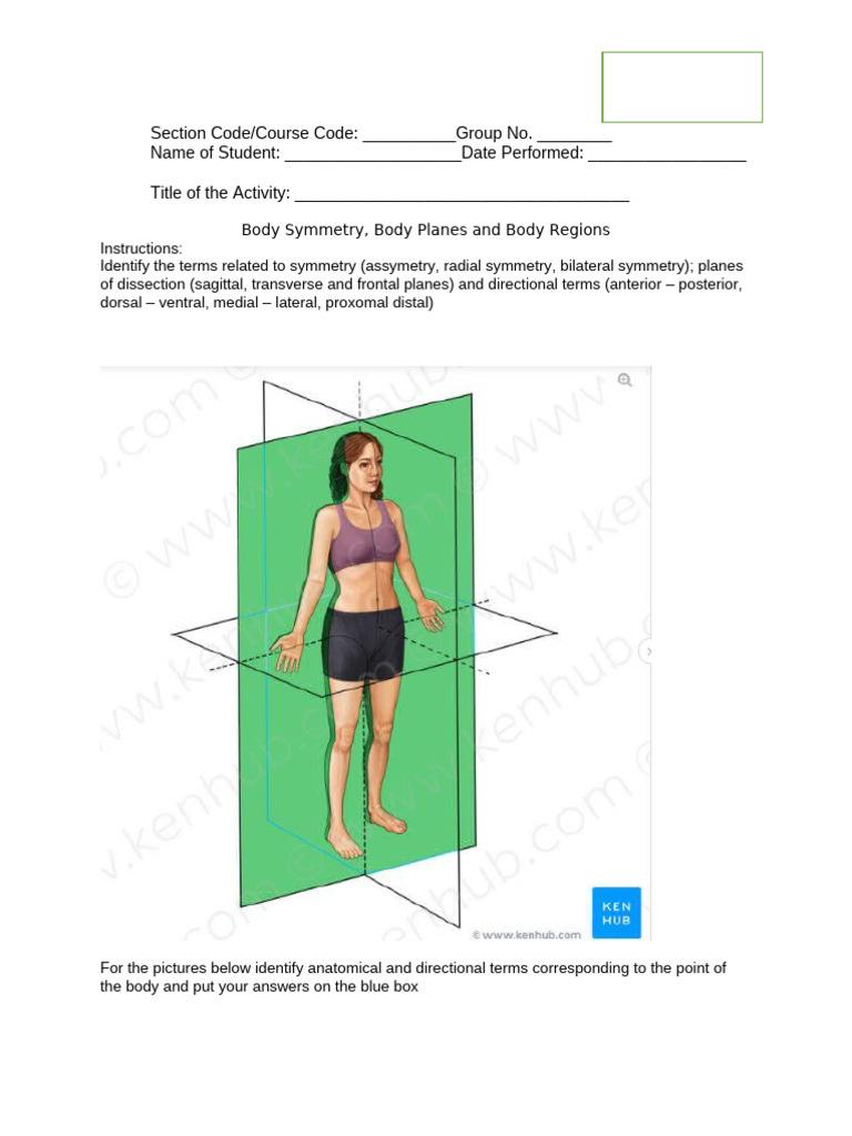 Body Symmetry and Anatomical Terms Guide | PDF