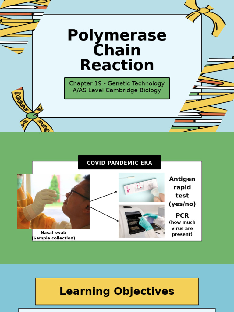 Genetic Technology and PCR Explained | PDF | Polymerase Chain Reaction ...