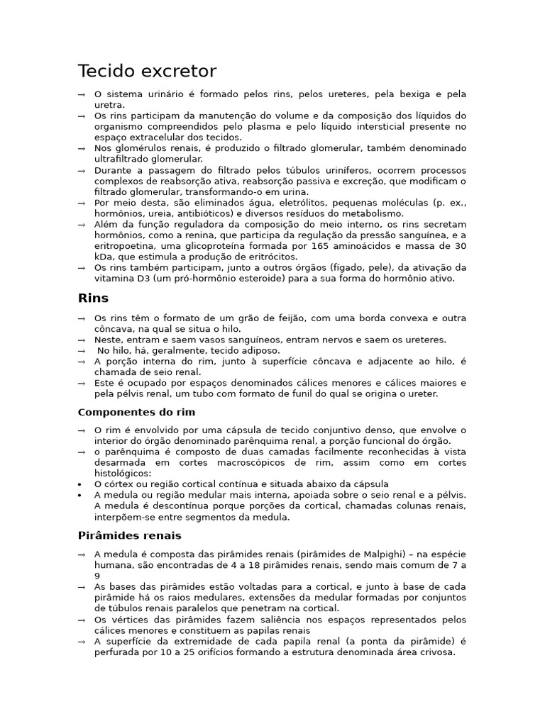 Estrutura e Função dos Rins Humanos | PDF | Rim | Anatomia animal