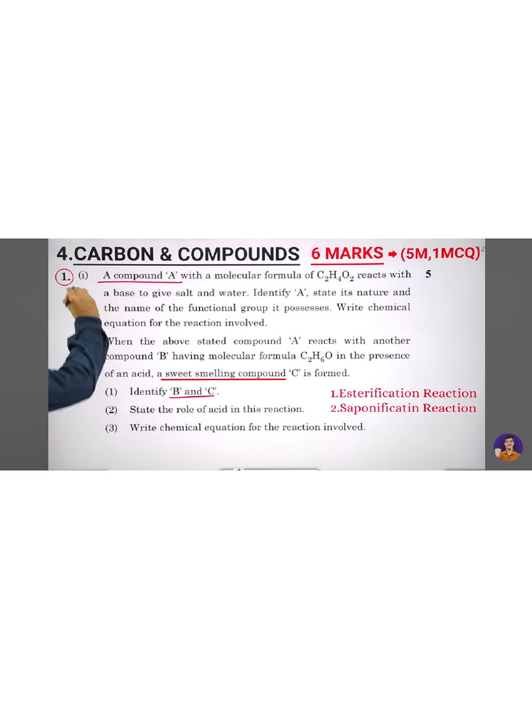 Science Important Questions | PDF